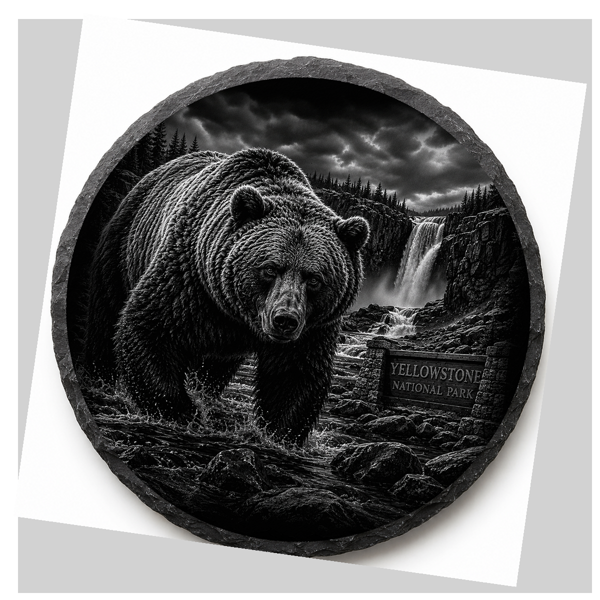 Grizzly Bear Slate Coaster detail image
