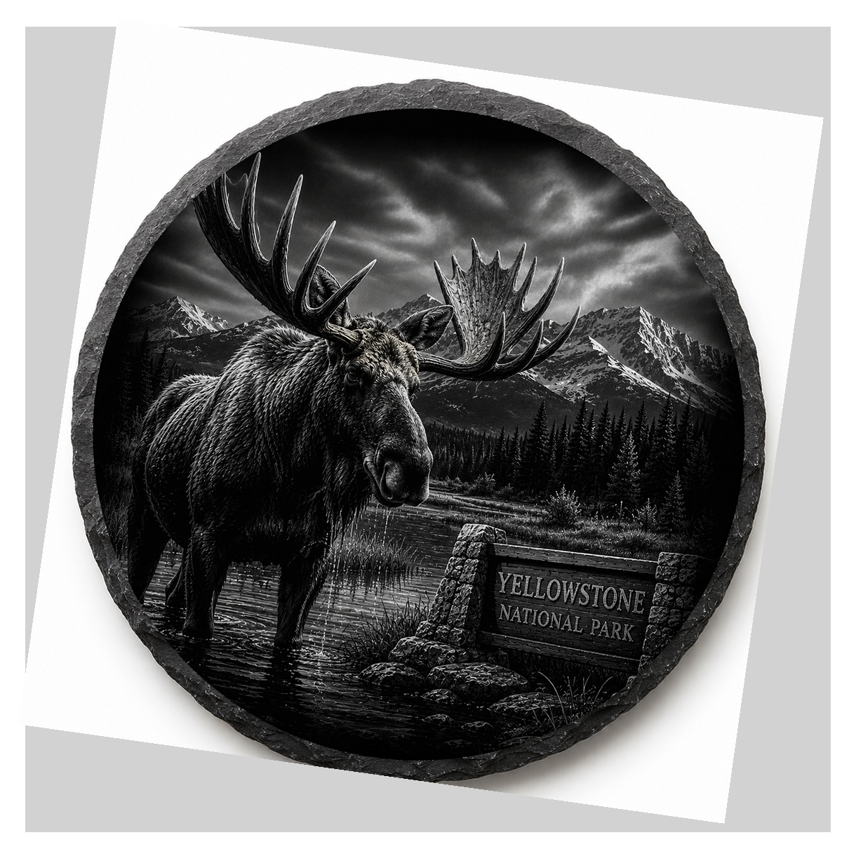 Bull Moose Slate Coaster detail image