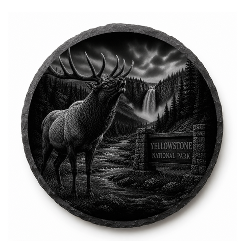 Bull Elk Slate Coaster